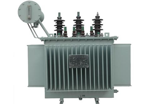 10kV級油浸式電力變壓器2