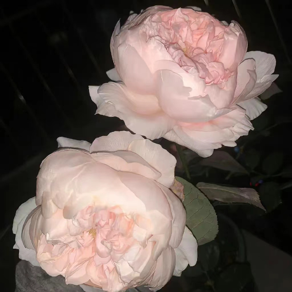 高壓電纜連接工藝過程及注意事項(xiàng)
